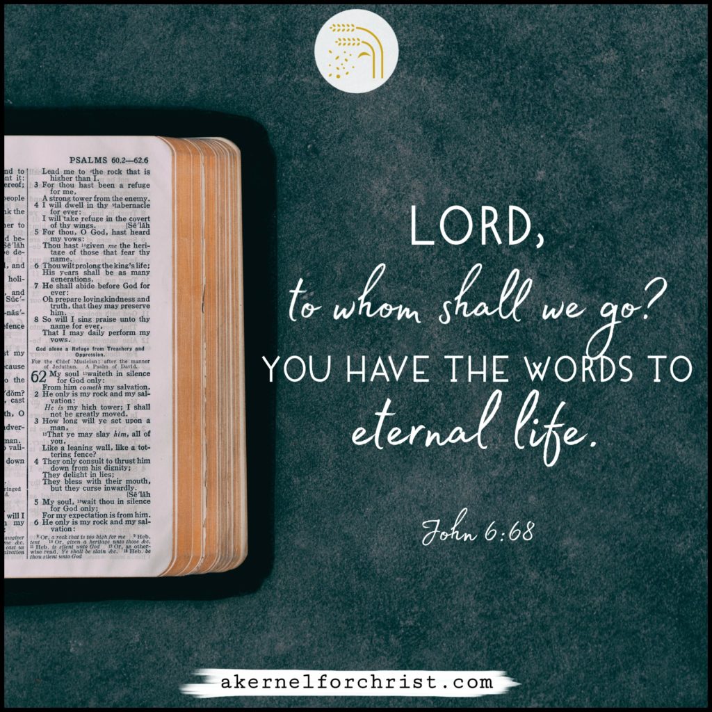 Lord to whom shall we go You have the words to eternal life-John 6:68