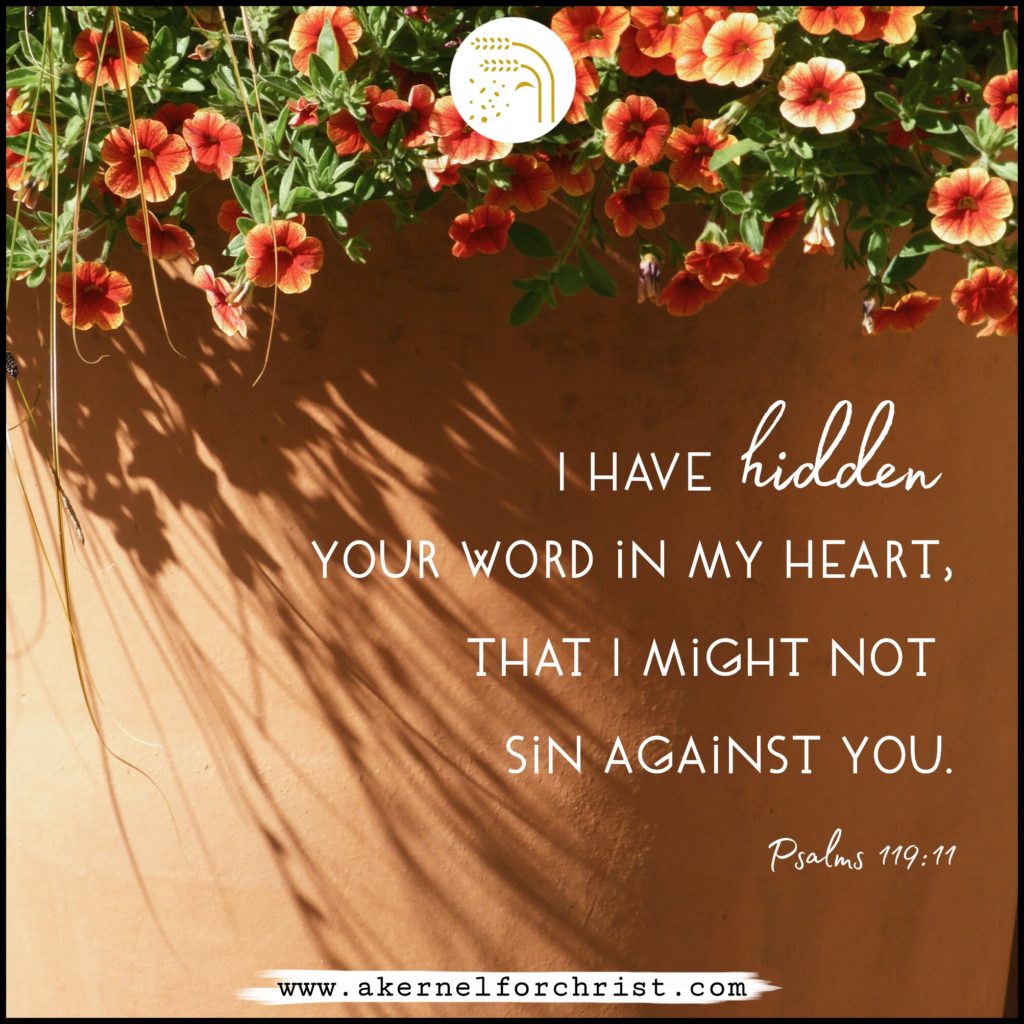 I have hidden your word in my heart that I might not sin against you.