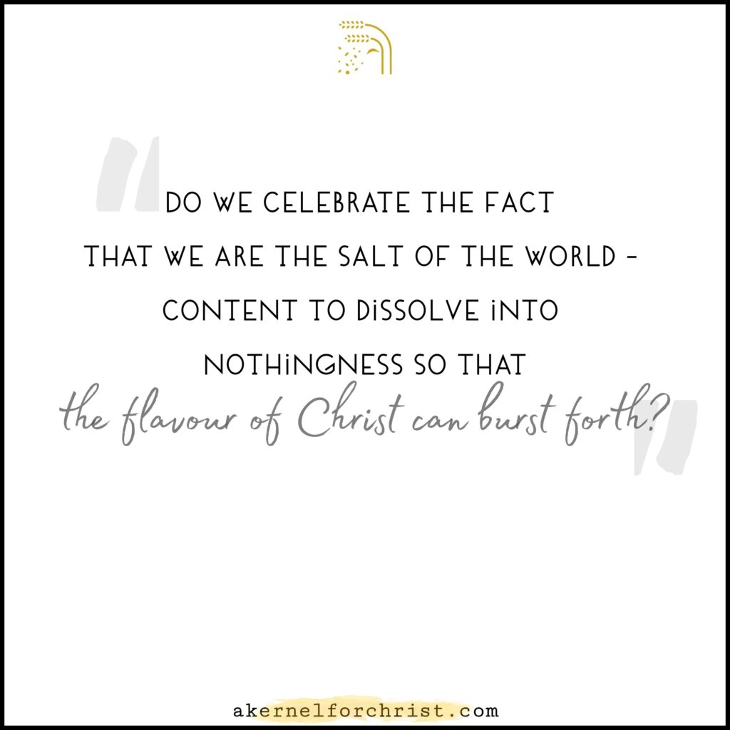 Do we celebrate the fact that we are the salt of the world - content to dissolve into nothingness so that the flavour of Christ can burst forth?