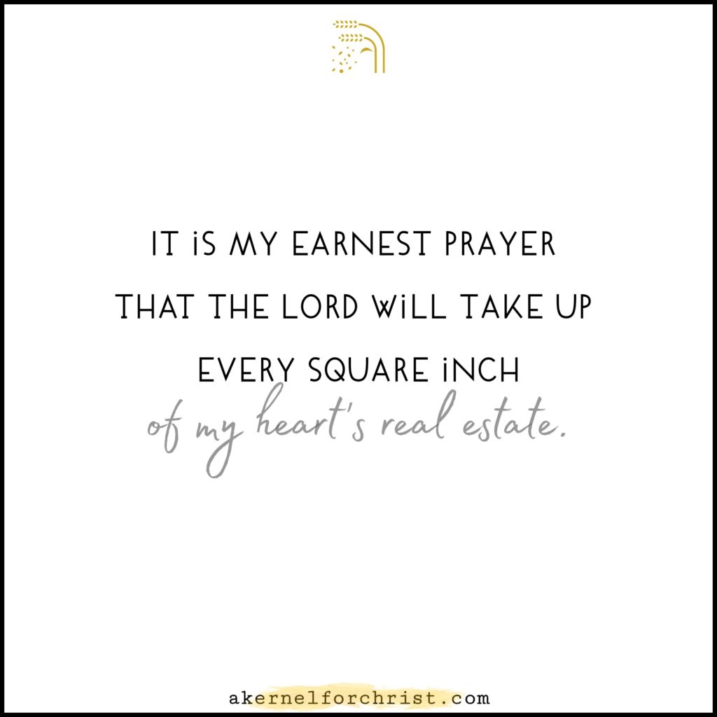 It is my earnest prayer that the Lord will take up every square inch of my heart's real estate