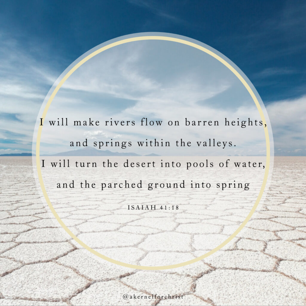 I will make rivers flow on barren heights, and springs within the valleys. I will turn the desert into pools of water, and the parched ground into springs.