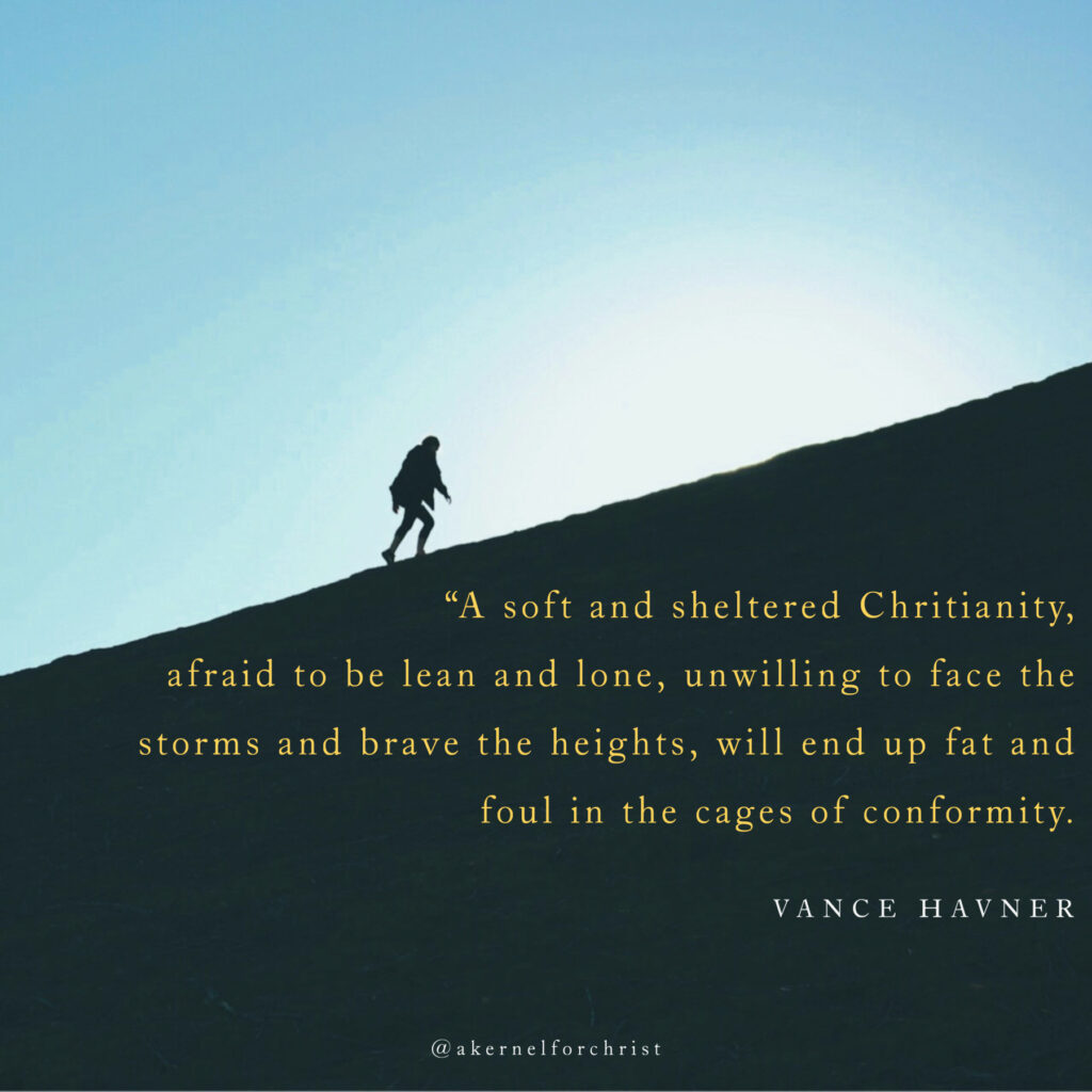 “A soft and sheltered Christianity, afraid to be lean and lone, unwilling to face the storms and brave the heights, will end up fat and foul in the cages of conformity.” ― Vance Havner