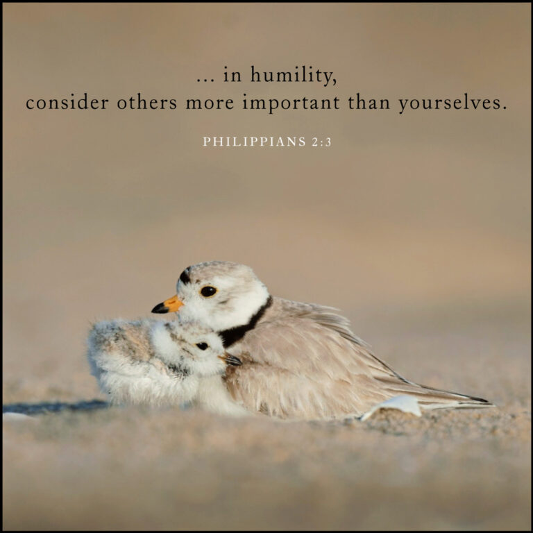 in humility, value others above yourselves