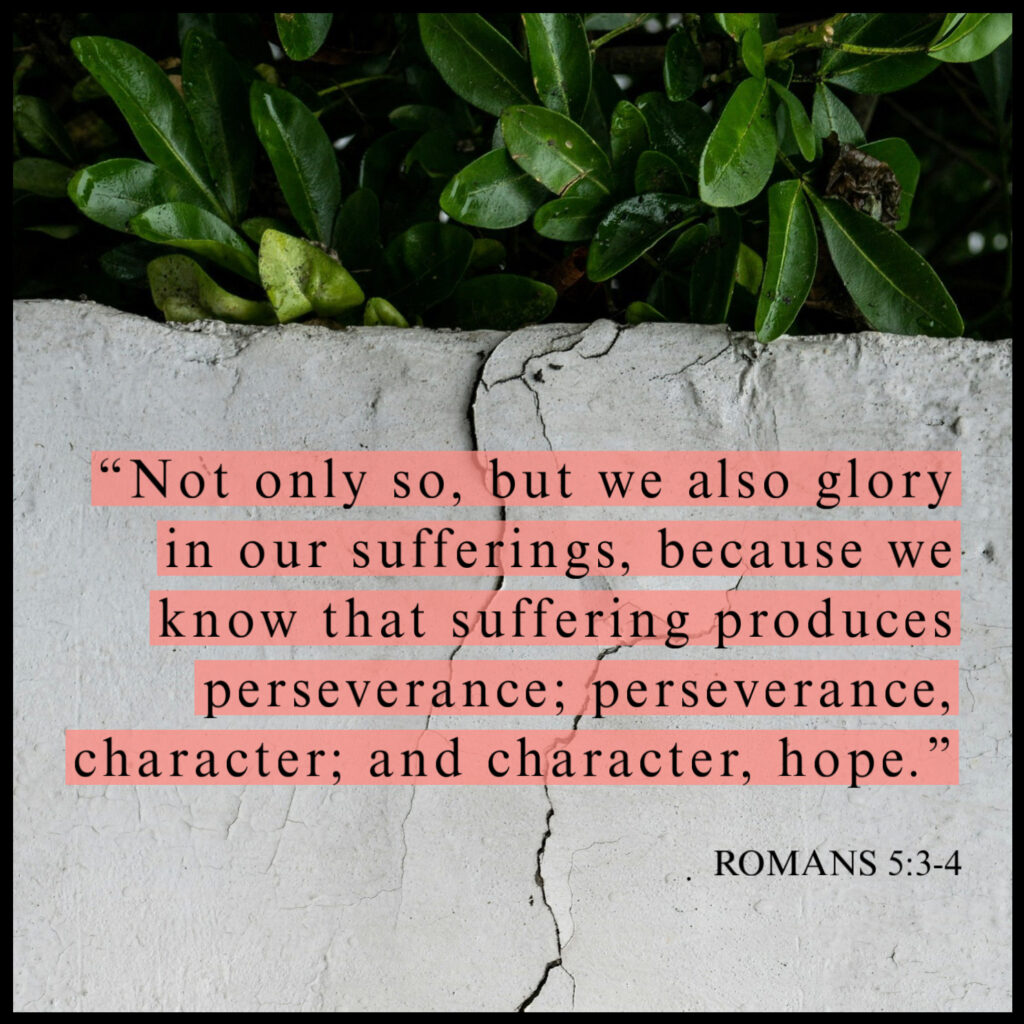 Not only so, but we[a] also glory in our sufferings, because we know that suffering produces perseverance; 4 perseverance, character; and character, hope.